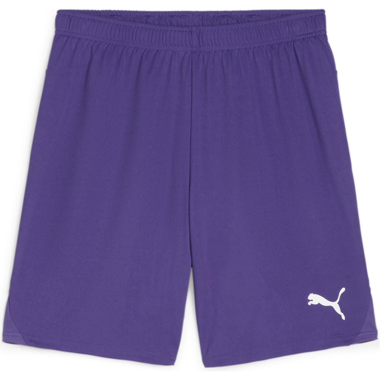 Puma, Herren, Sporthose, teamGOAL Shorts (L), Violett, L