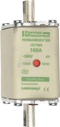 Actual product image Fuse link (160 A)