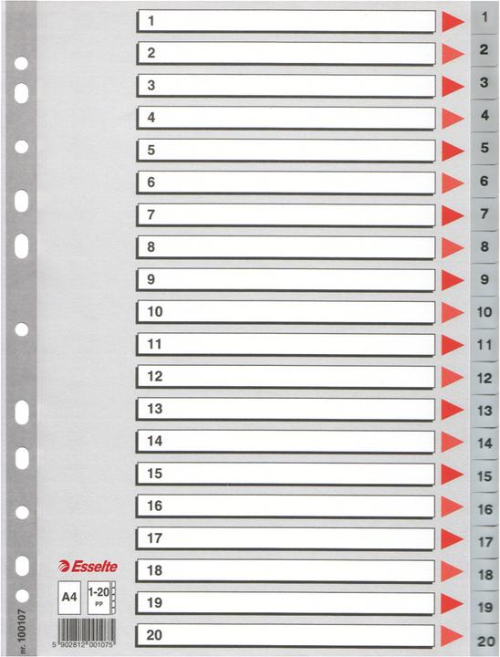Produktbild Esselte Plastikregister
