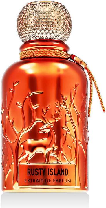 Auraa Desire Rusty Island Extrait Parfüm 100ml von Starker Leder-Holz-Duft für Männer und Frauen (Extrait De Parfum, 100 ml)