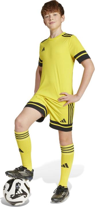 Produktbild adidas Squadra 25 Short Kids (176)
