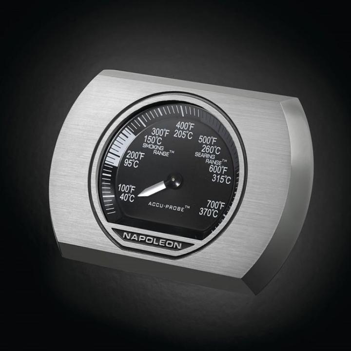 Actual product image Napoleon Rogue SE 425 (25.60 kW)