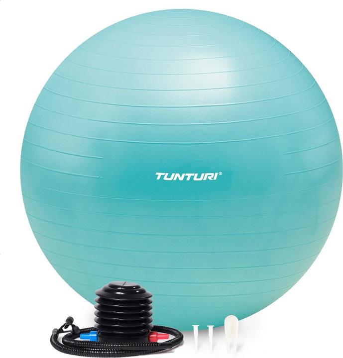 Tunturi Gym Ball - Fitnessball reissfest ABS 65 cm Türkis (65 cm)