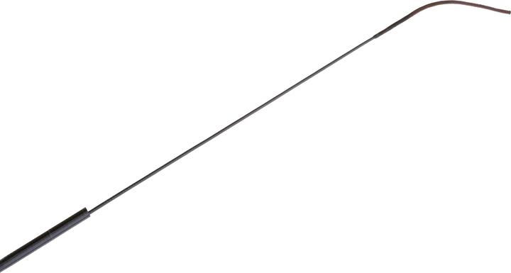 Produktbild Caperlan LAKESIDE 5 600 (Teleskoprute, 600 cm)