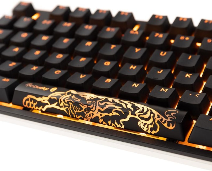 Actual product image Ducky ONE 2 Backlit PBT Gaming Keyboard, MX-Speed-Silver, RGB LED - black (US) (US, Cable)