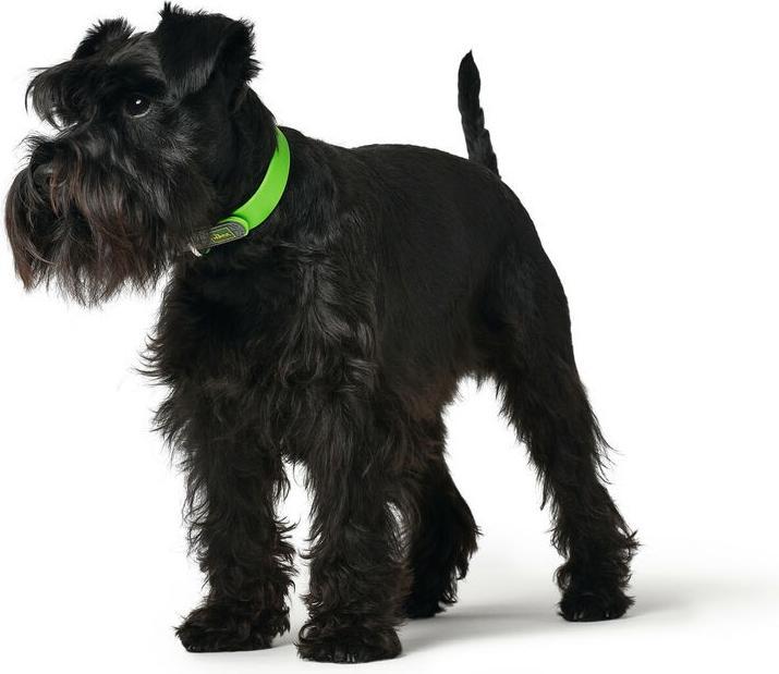 Produktbild Hunter Halsband Convenience (S, XS, Hund, Spazieren)