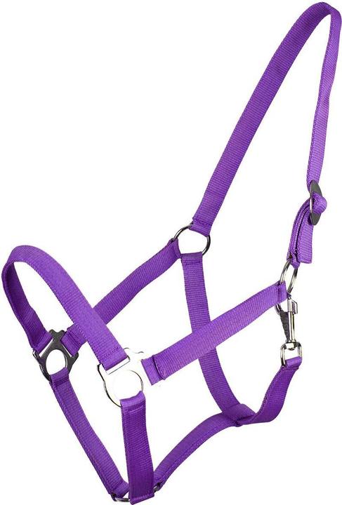 Actual product image Qhp Nylon halter with sliding buckle