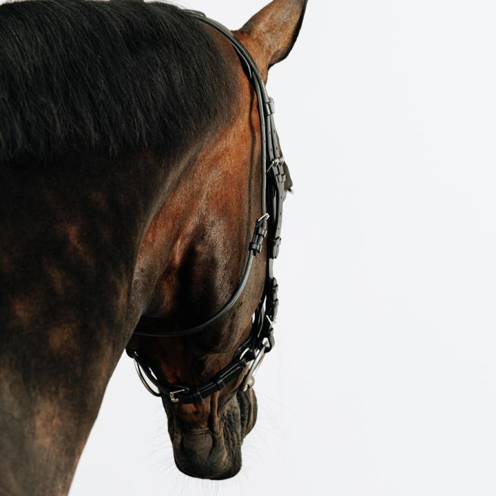 Immagine prodotto Fouganza Trense 580 Leder Strass schwarz