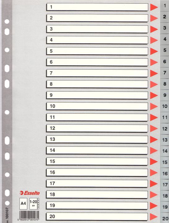 Actual product image Esselte Plastic register