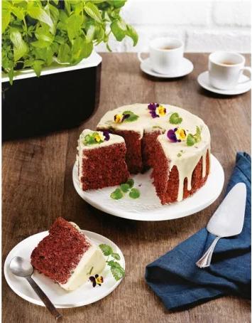 Produktbild Véritable Lingot Lemon Balm (Kräutersamen)