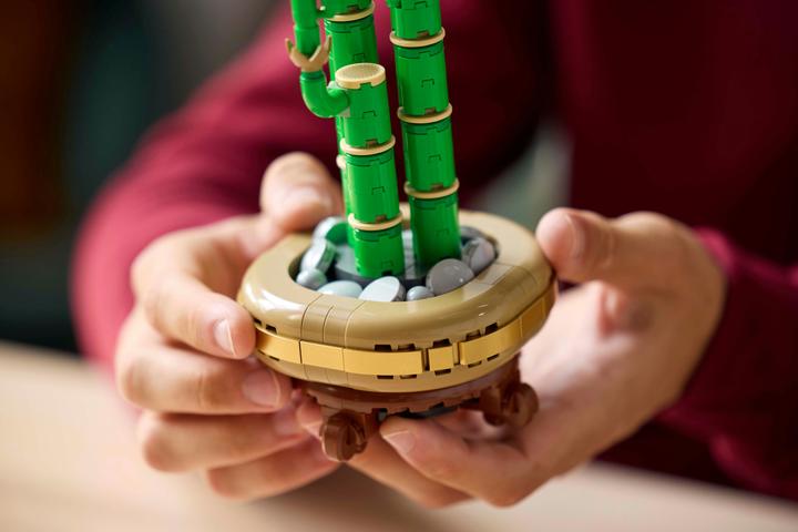 Immagine prodotto LEGO Glücks-Bambus (10344, LEGO Botanical)