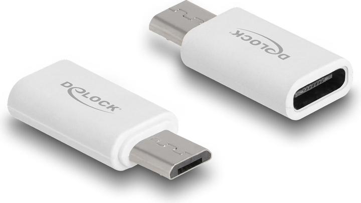Immagine prodotto Delock 5 in 1 Cavo USB per dati e ricarica e adattatore PD 3.0 60 W bianco (0.10 m, USB 2.0, 60 W)