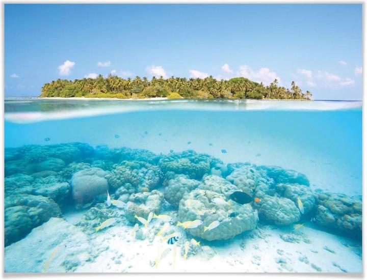 Image du produit Trenddeko Le monde sous-marin des Maldives (80 x 60 cm)