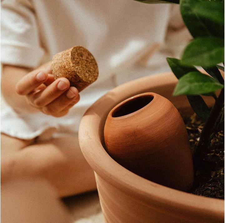 Actual product image Pepin Olla (Clay cone)