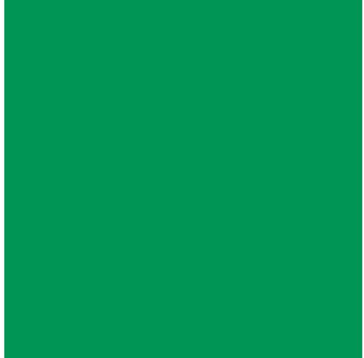 Actual product image Cricut Vinyl film Smart removable 33 x 91 cm, 1 piece, Green (1 x)