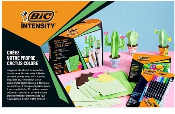 Bic Intensity Papierkaktus-Set
