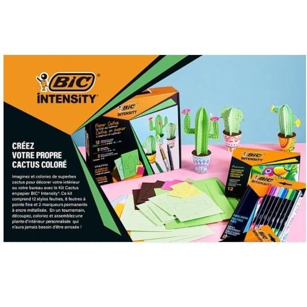 Bic Intensity Papierkaktus-Set