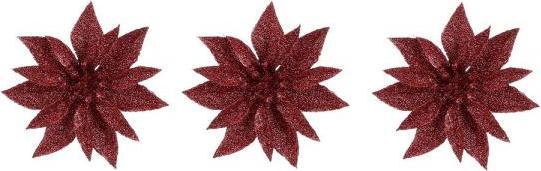 Christmas Gifts Étoile de Noël