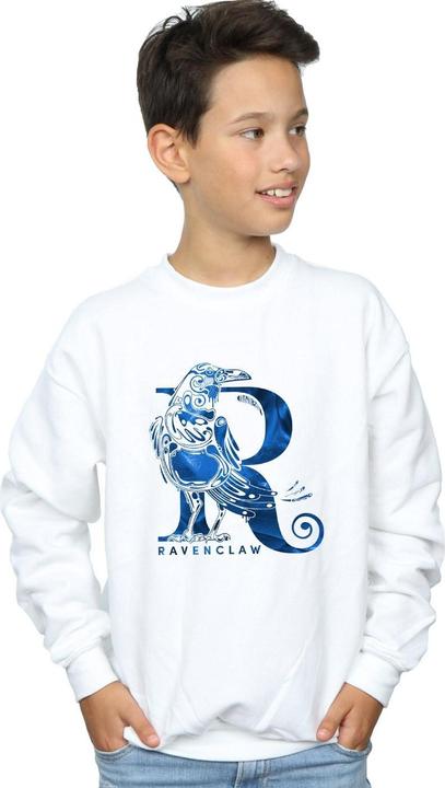 Produktbild Ravenclaw Raven Sweatshirt Jungen (152, 158)