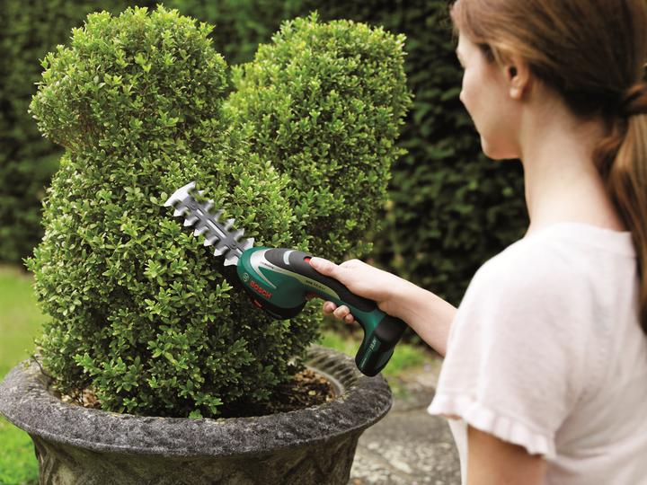 Actual product image Bosch Home & Garden ASB 10.8 LI Set (Cordless hedgecutters)