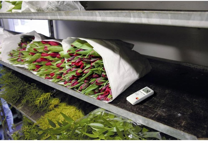 Produktbild Testo 184 T3 - Temperaturdatenlogger für Transportüberwachung (Thermometer)