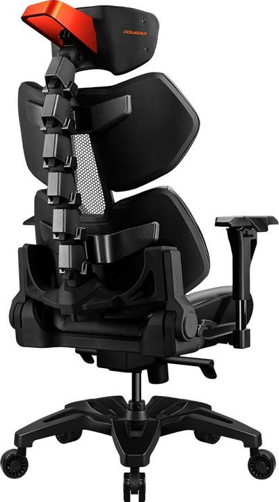 Actual product image Cougar Terminator