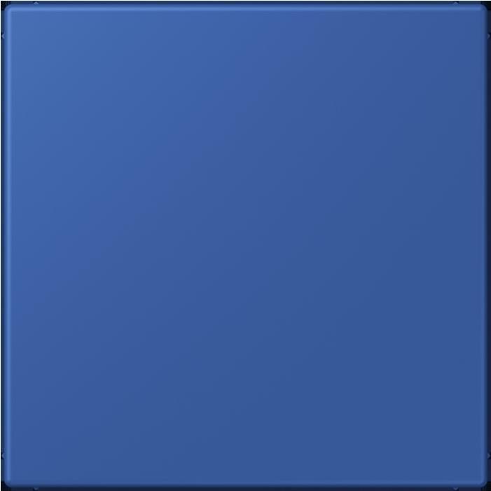 Produktbild JUNG Blindabdeckung