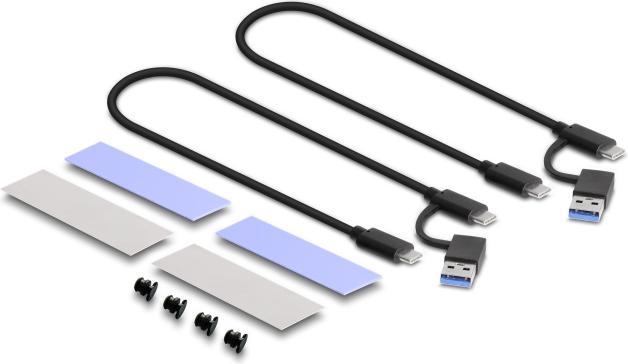 Image du produit Delock Combo (M.2)