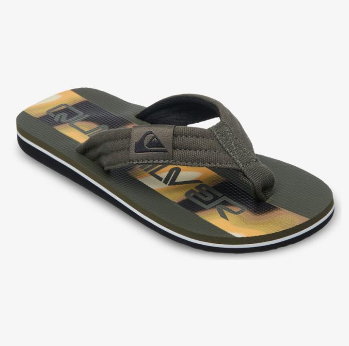 Quiksilver Molokai Layback 26 Youth, Grape Leaf Holmes, 3(34)