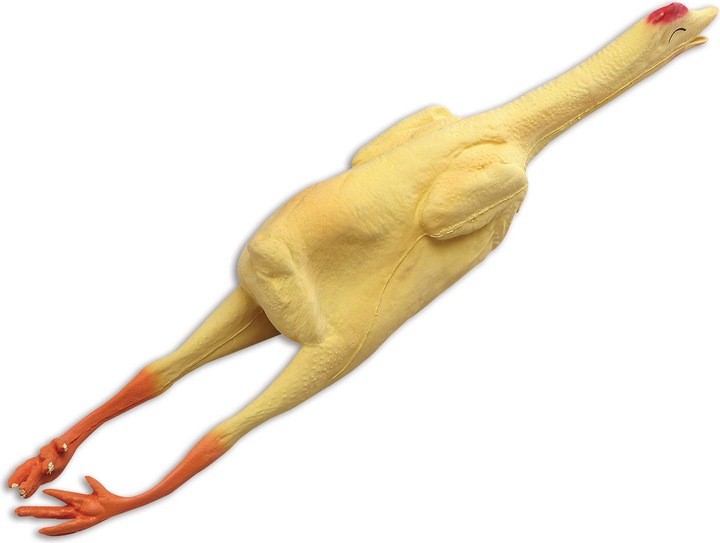 Immagine prodotto Bristol Novelty Pollo spennato fatto di plastica