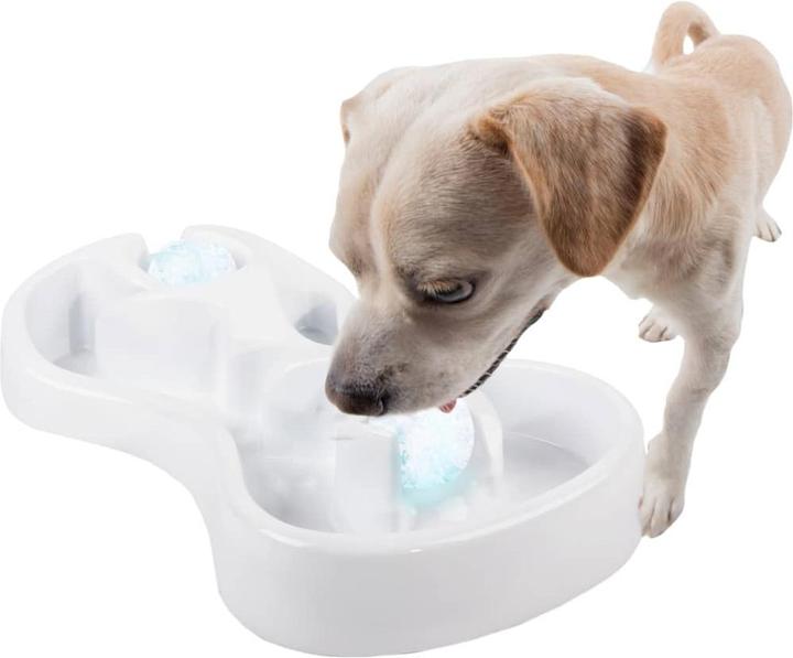 Produktbild All for Paws Chill Out Ice Track & Thirst Cruncher kühlendes Spielzeug