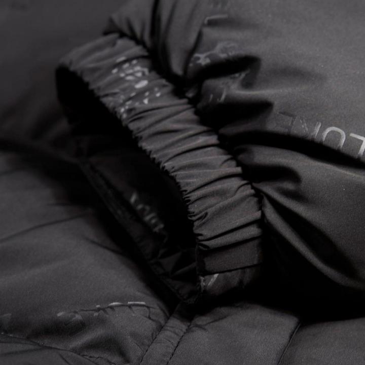 Produktbild Luke 1977 Mallard Steppjacke (L)