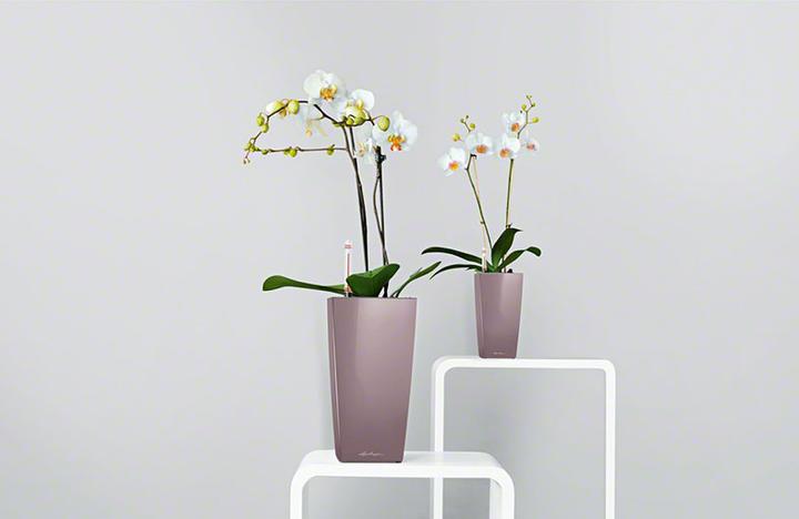 Produktbild Lechuza Mini Cubi (9.50 cm)