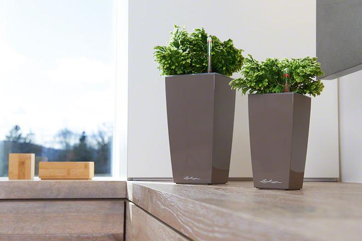 Produktbild Lechuza Mini Cubi (9.50 cm)