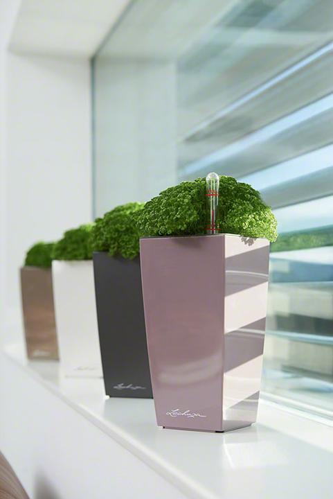 Produktbild Lechuza Mini Cubi (9.50 cm)