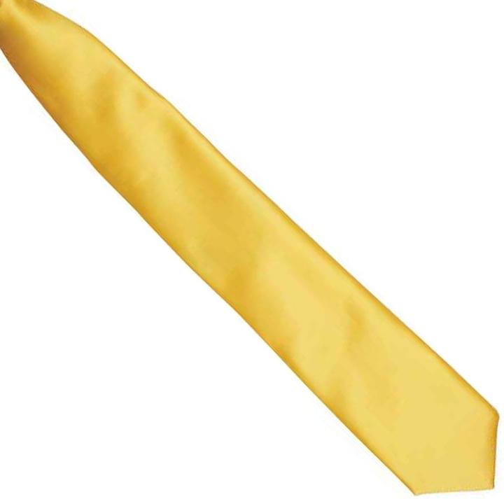 Actual product image Premier Clip-on satin tie
