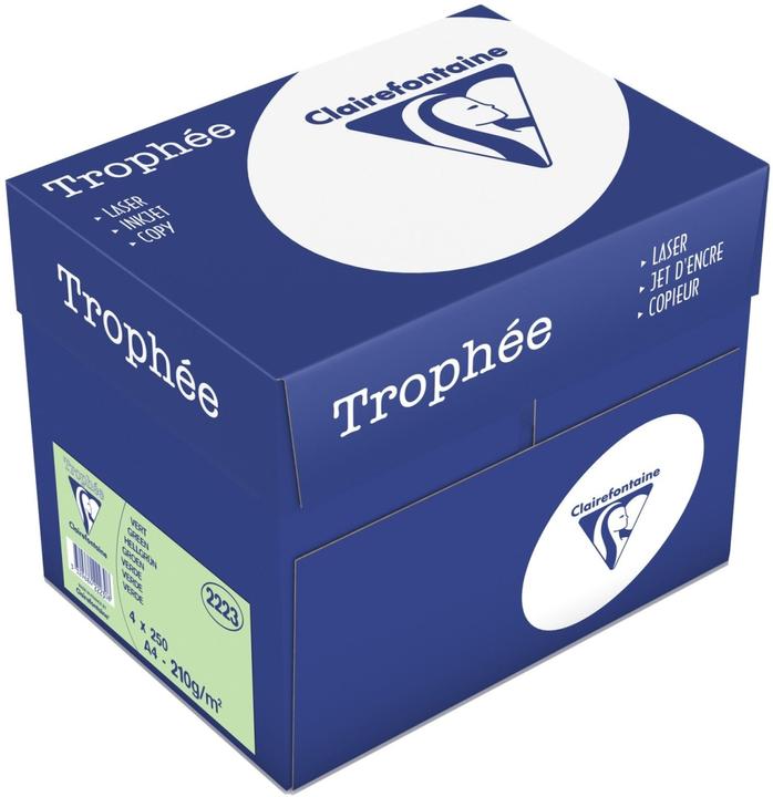 Image du produit Clairalfa Papier multifonctions Troph'e, A4, vert clair (210 g/m², 250 x, A4)