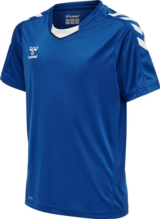 Trueblue