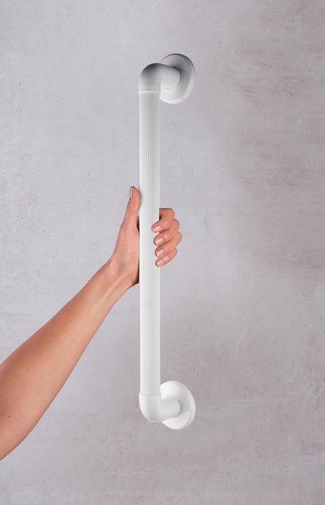 Image du produit Ridder Poignée de baignoire 60cm