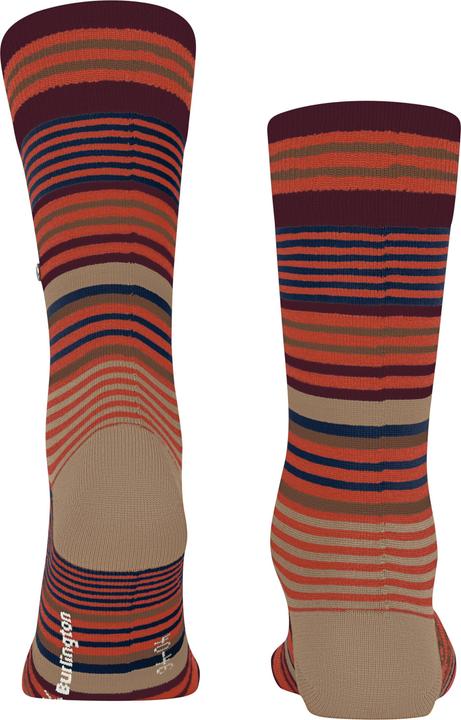 Immagine prodotto Falke Stripe SO (40 - 46)