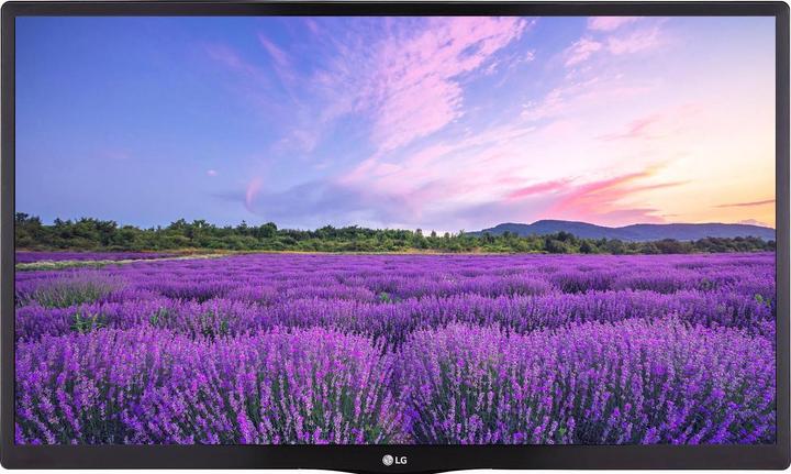 Immagine prodotto LG 24LN662V (24", LED, WXGA, 2023)