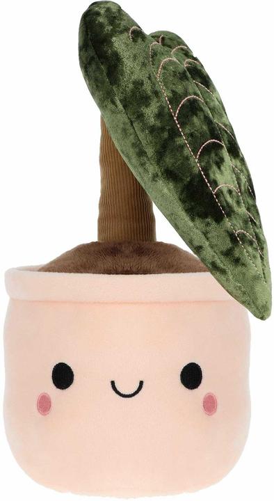 Image du produit Keel Plantes Bobball (30 cm)