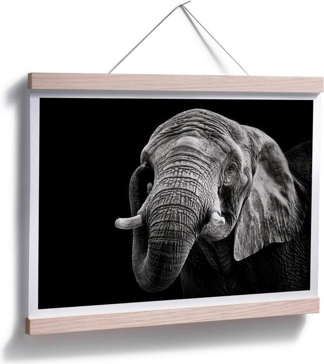 Image du produit Trenddeko L'éléphant (40 x 30 cm)
