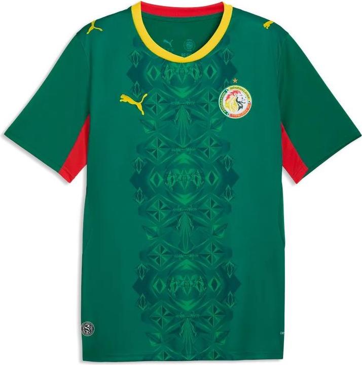 Actual product image Puma FSF Away Jersey Replica (M)