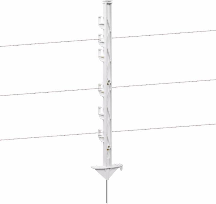 Actual product image Gallagher Hobby (x10)