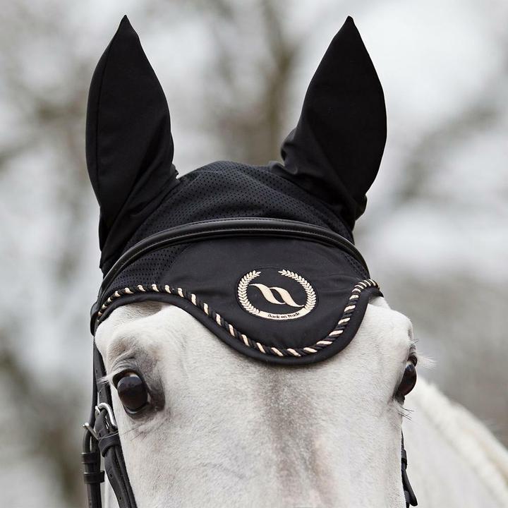 Image du produit Back on Track taye