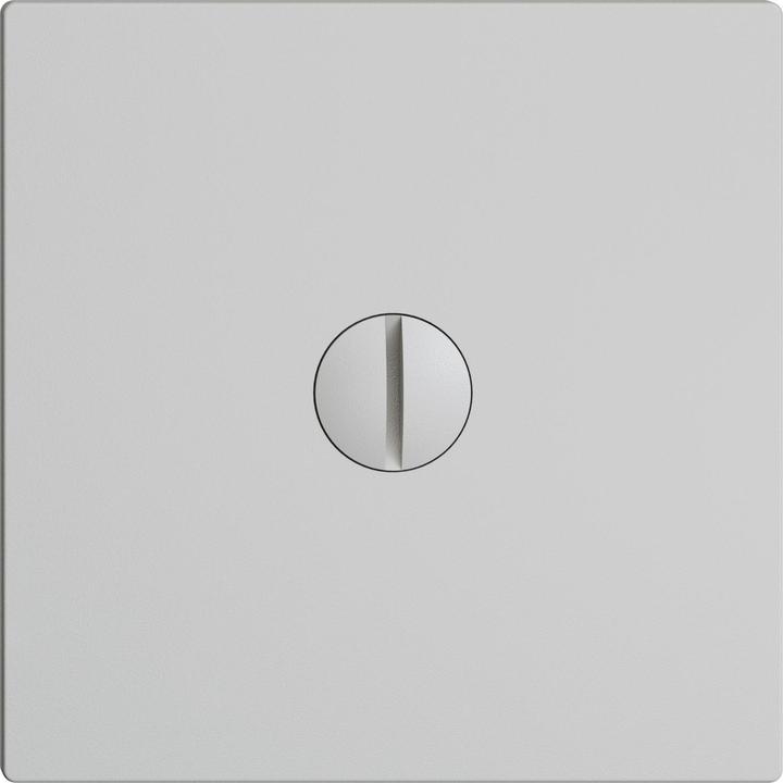 Actual product image Feller Blind cover light gray