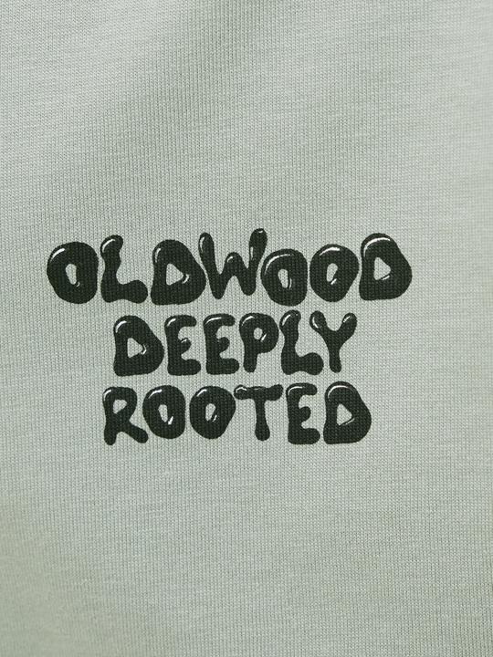 Image du produit Jack & Jones Gedruckt T-shirt Junior T-shirt (176)