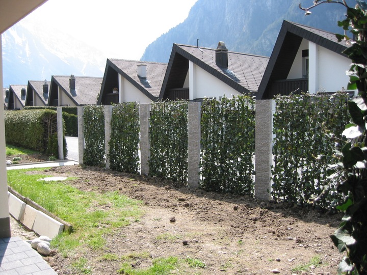 Actual product image Mobilane Hedge (100 cm)