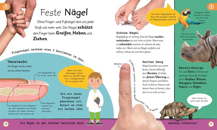 Produktbild Wissen für Vorschulkids Was weisst du über den Körper (Deutsch, Andrea Mills, Bipasha Choudhury, 2024)